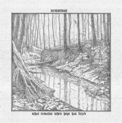 NEMOROUS lança nova faixa -